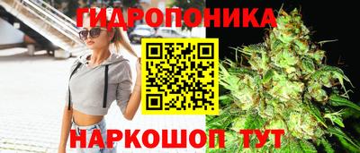 мет Кимры