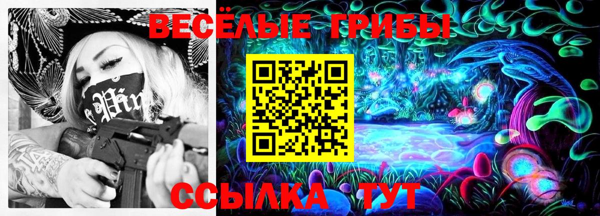Псилоцибиновые грибы GOLDEN TEACHER Усть-Джегута